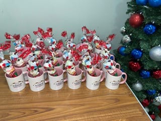 Home 19 Christmas cones from UK Therapy Guild