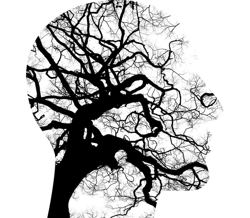 Head silhouette of bare tree branches symbolising mental health and therapeutic growth, counselling training Liverpool
